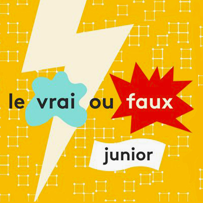 Vrai ou Faux franceinfo